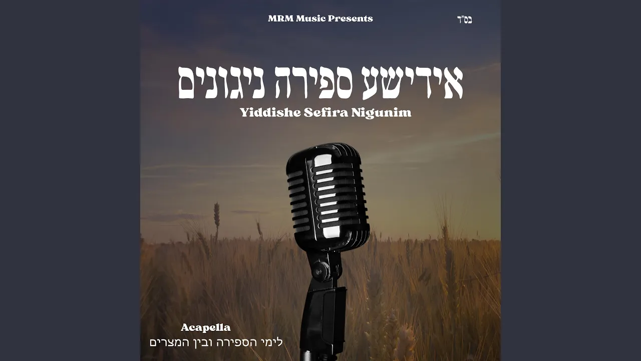 Noch Ein Shabbos