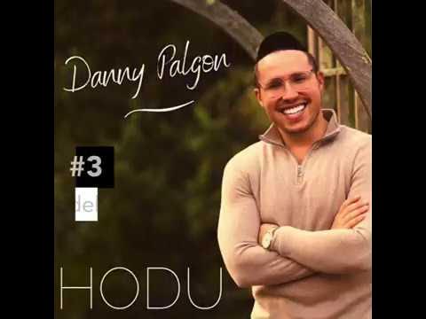 Danny Palgon - OFFICIAL ALBUM SAMPLER