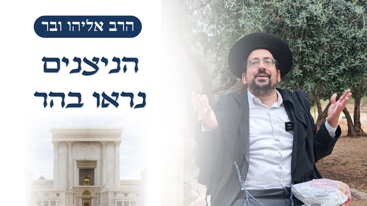 הנצנים נראו בהר • פשט בבן סורר ומורה | הרב אליהו ובר