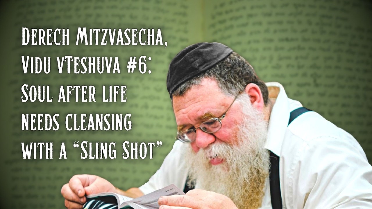 Derech Mitzvosecha Vidu vTeshuva #6- Soul after life requires cleansing w "Sling Shot" - RC Dalfin