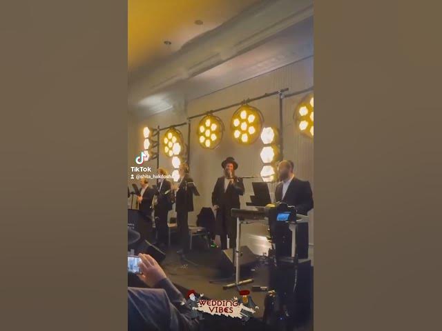 Beri Weber singing at a wedding