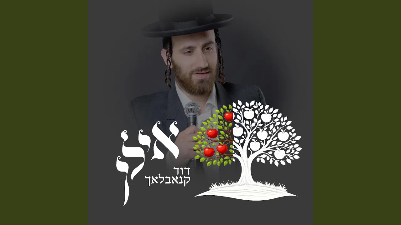 Ilan