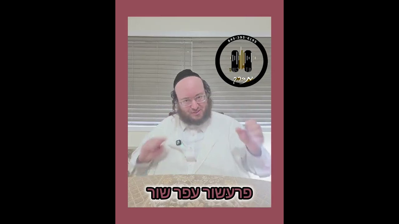 פרעשור עפר שור
