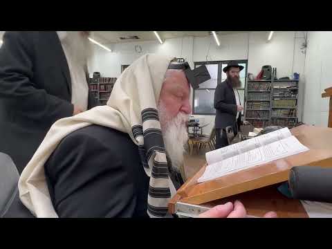 היום יום ג' אלול, הרב לייבל אלטיין שנת תשפ"ו