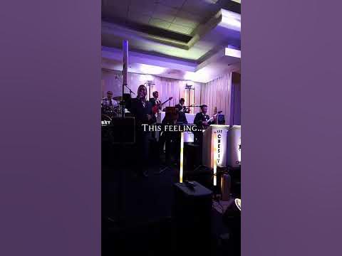 The Chesky Levy Wedding Experience!