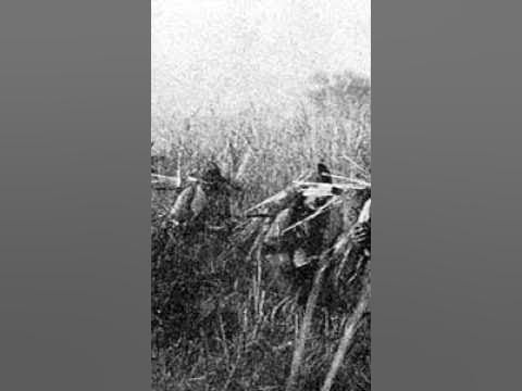 The Costs of the Siege of Kohima