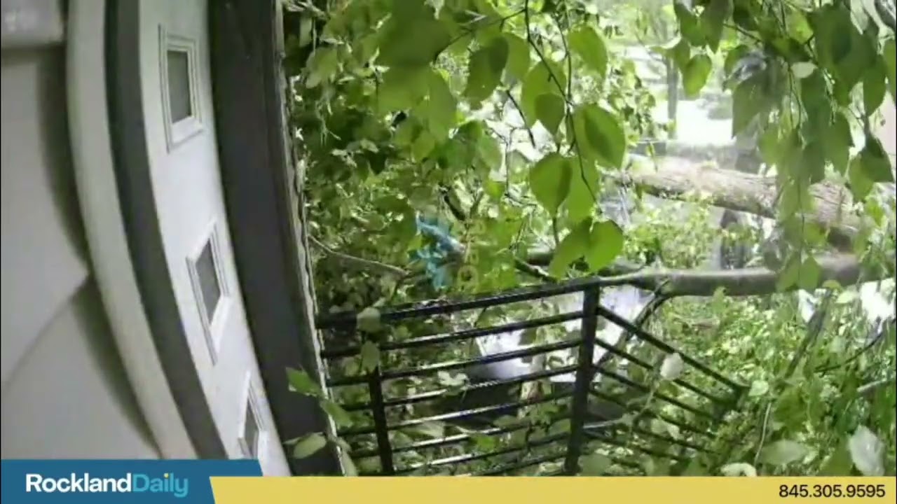 Massive tree limb came crashing down at a home in Airmont, partly crushing a Tesla.