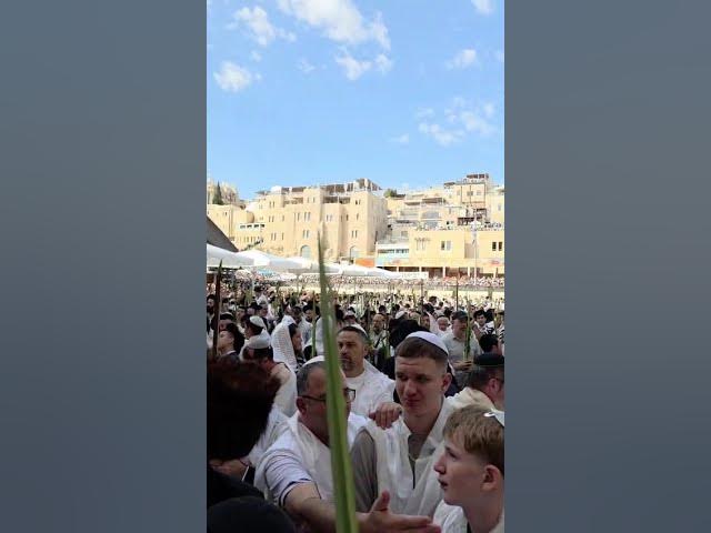 Thousands at the Kotel Hamaaravi Chol Hamoed Sukkot 2026 - Hallel