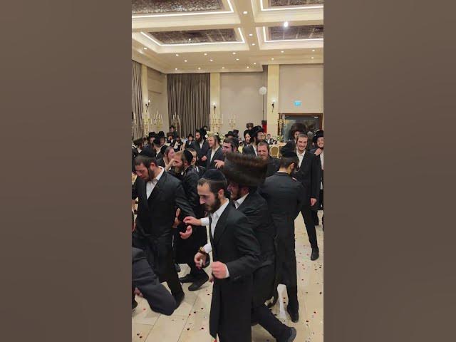 ענבי הגפן - שלוימי בוכנר - יהודה מנהיים #ריקוד#אש#להיט#foryou #חתונה #music #wedding #live#חרדים