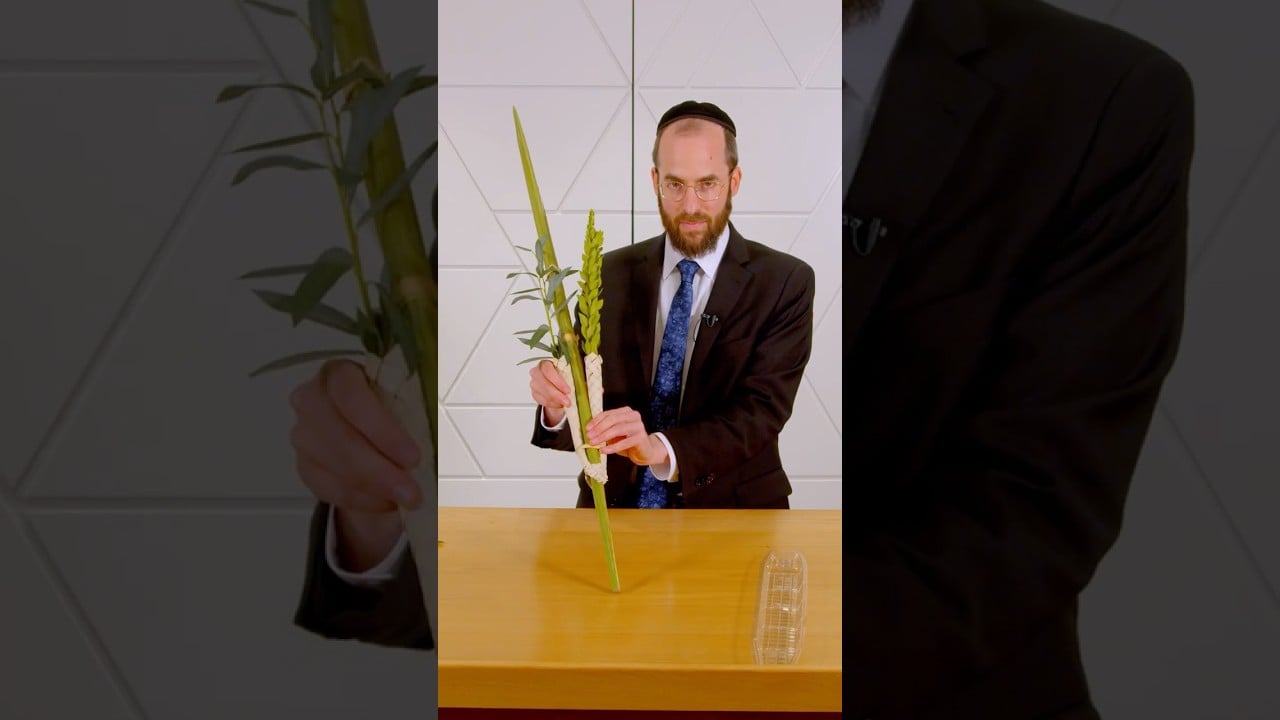 How to Assemble Your Lulav