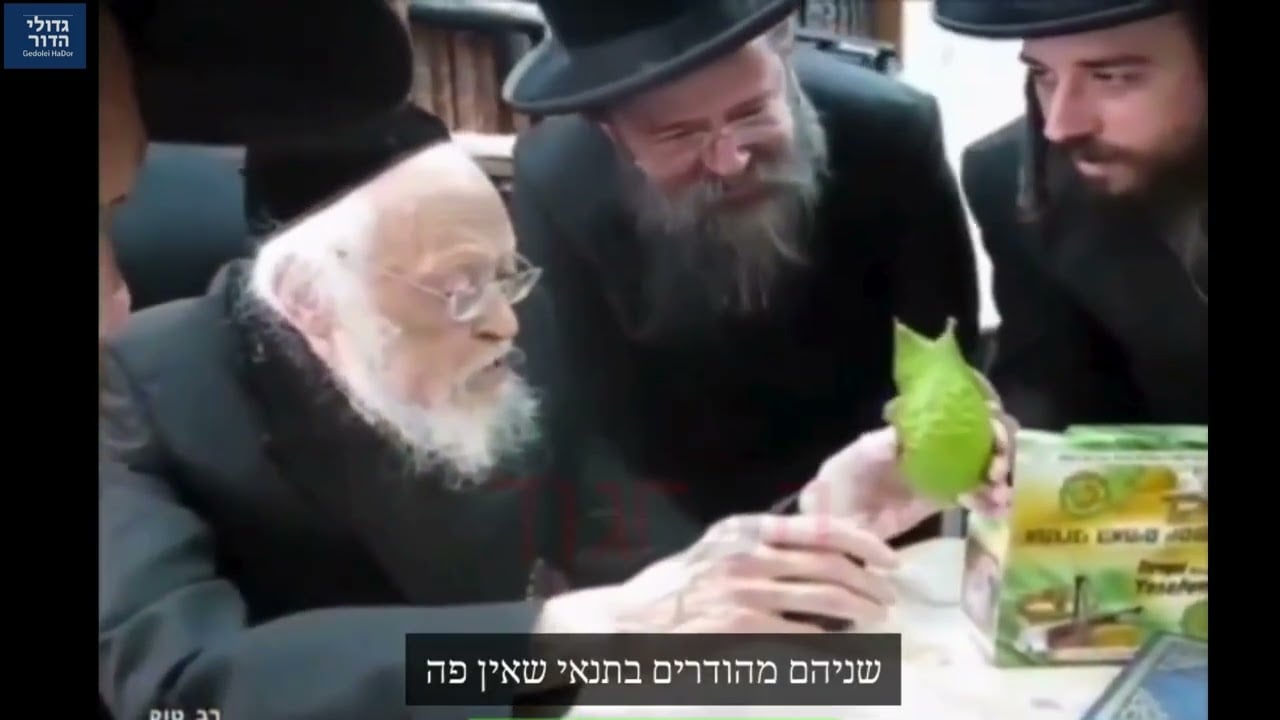 מה קרה כשניסו לתת למרן הרב אלישיב אתרוג מרוקאי במתנה? | התגובה המבריקה והחיוך הנדיר בסוכתו! ⚡🍋