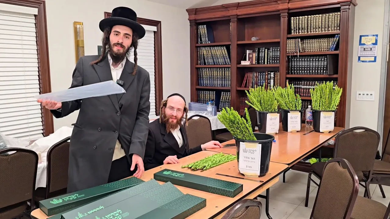 Why We Only Sell Hadassim: What Makes Hadassim Mehudar & How to Keep Them Fresh Throughout Yom Tov!