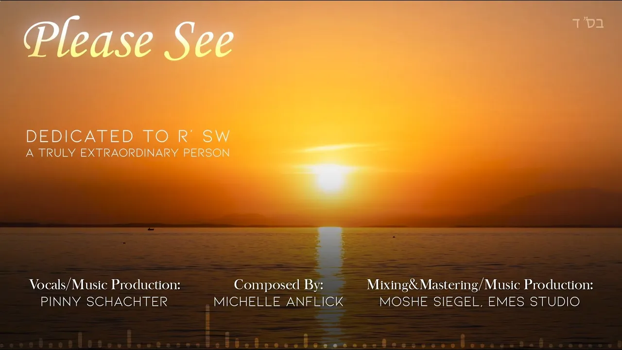 Please See (Lyric Video) - Vocal by Pinny Schachter - Composed by Michelle Anflick
