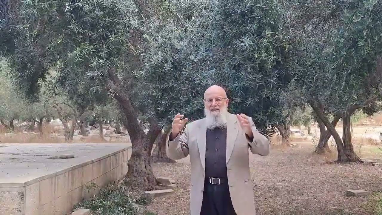 כיצד זוכים ישראל לקיים את מצוות כי תבוא אל הארץ? | הרב יואל אליצור