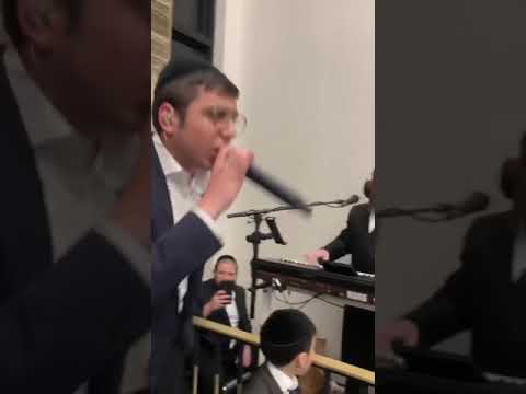 Tamid ohev oti -yigal