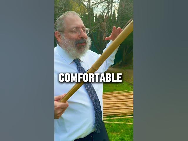 Why do Jews live in a hut?