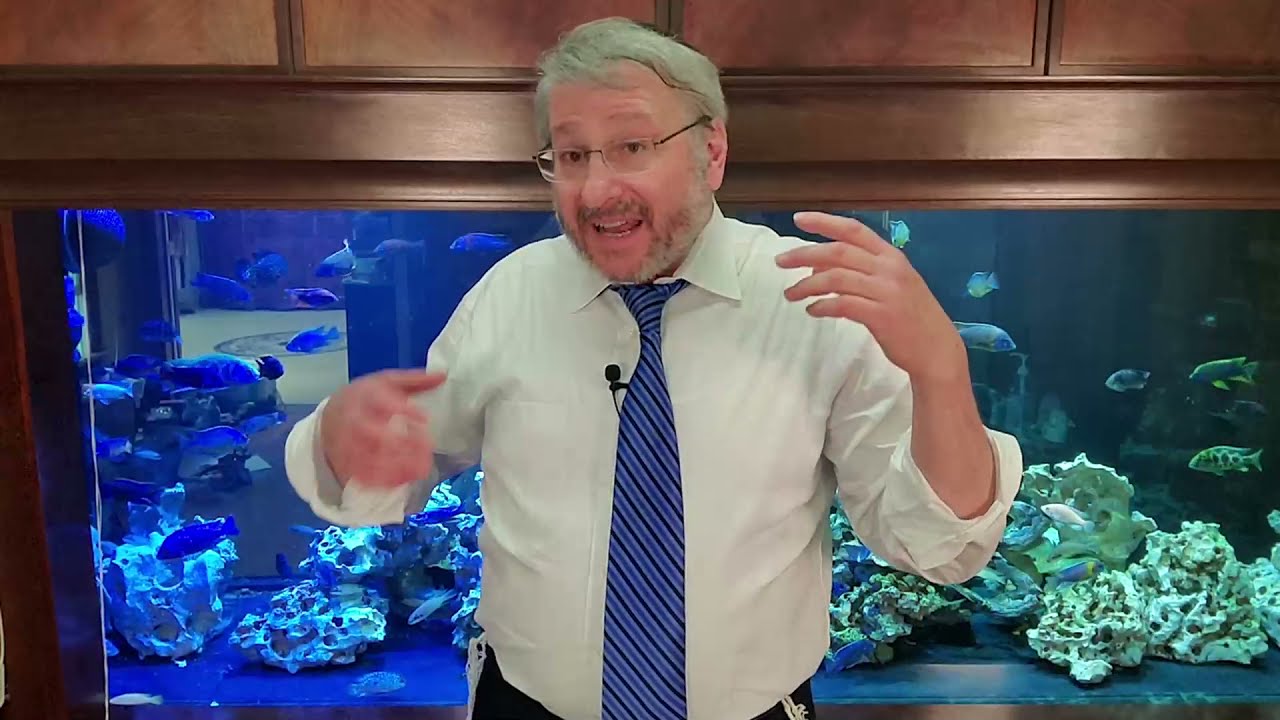 Covid-19: Vaccine safety/effectiveness, US, variants, infertility, China, anti-vaxxers (Part 3 of 3)