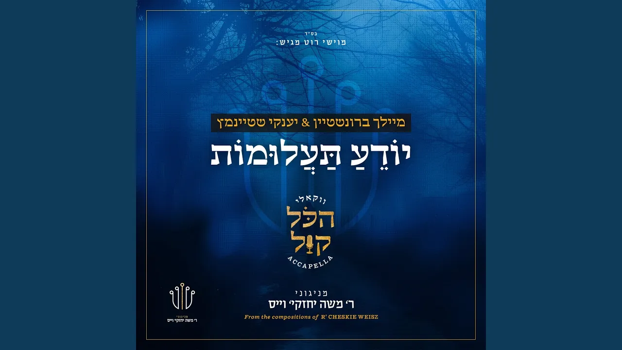 ‎⁨יודע תעלומות⁩ (feat. Yanky Steinmetz)