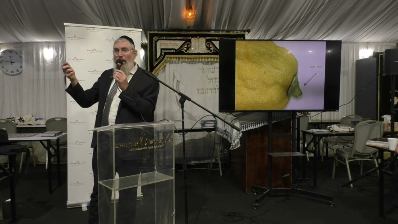 Rabbi Avrohom Reit Presentation about Shofar, Lulav and Esrog Part 2