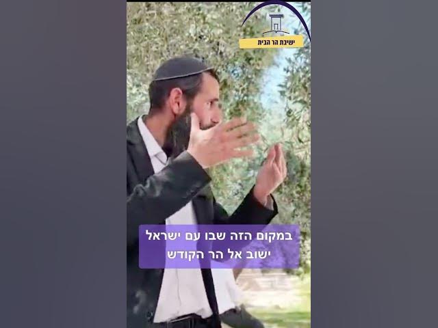 בונים את המקדש 🏛️👑