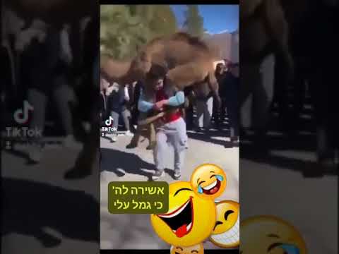 אשירה לה'כי גמל עלי