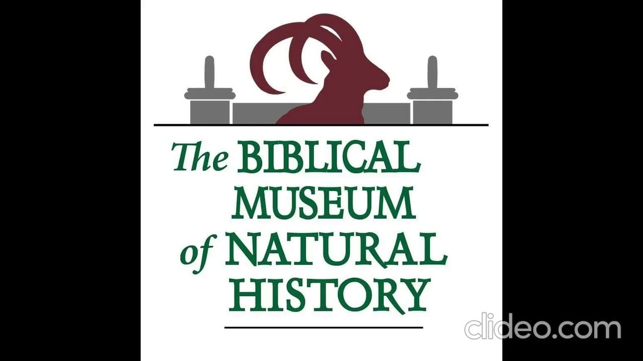 From Succot to Elephants and More: A Conversation with Rabbi Dr. Natan Slifkin