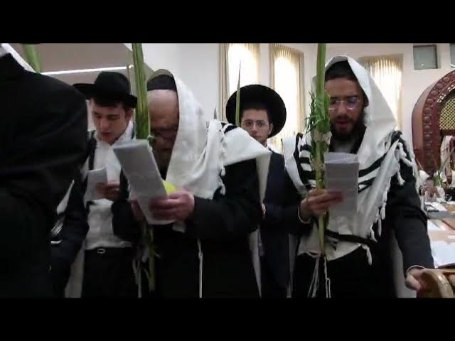 רשכבה"ג מרן הגרמ"ה הירש בהושענות.