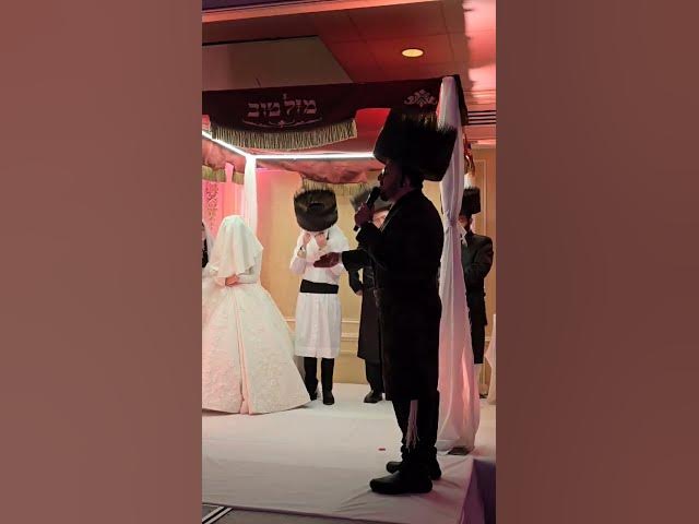 Lipa Schmeltzer singing at a Orthodox Jewish wedding