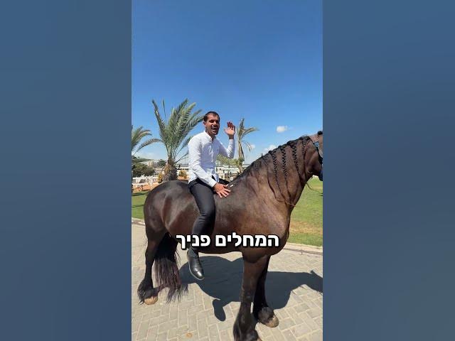מנחשים של מי הרכב הזה?