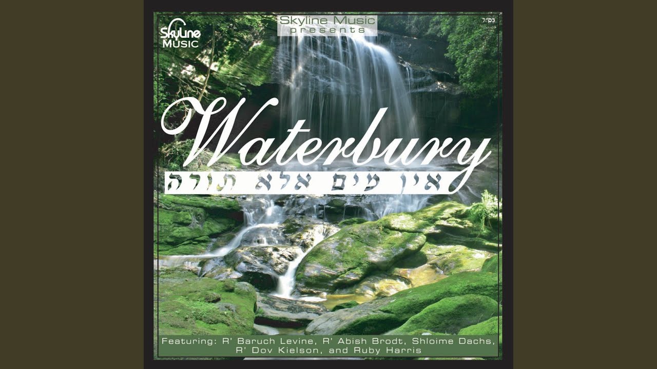 Shalom Aleichem (feat. Shloime Dachs)