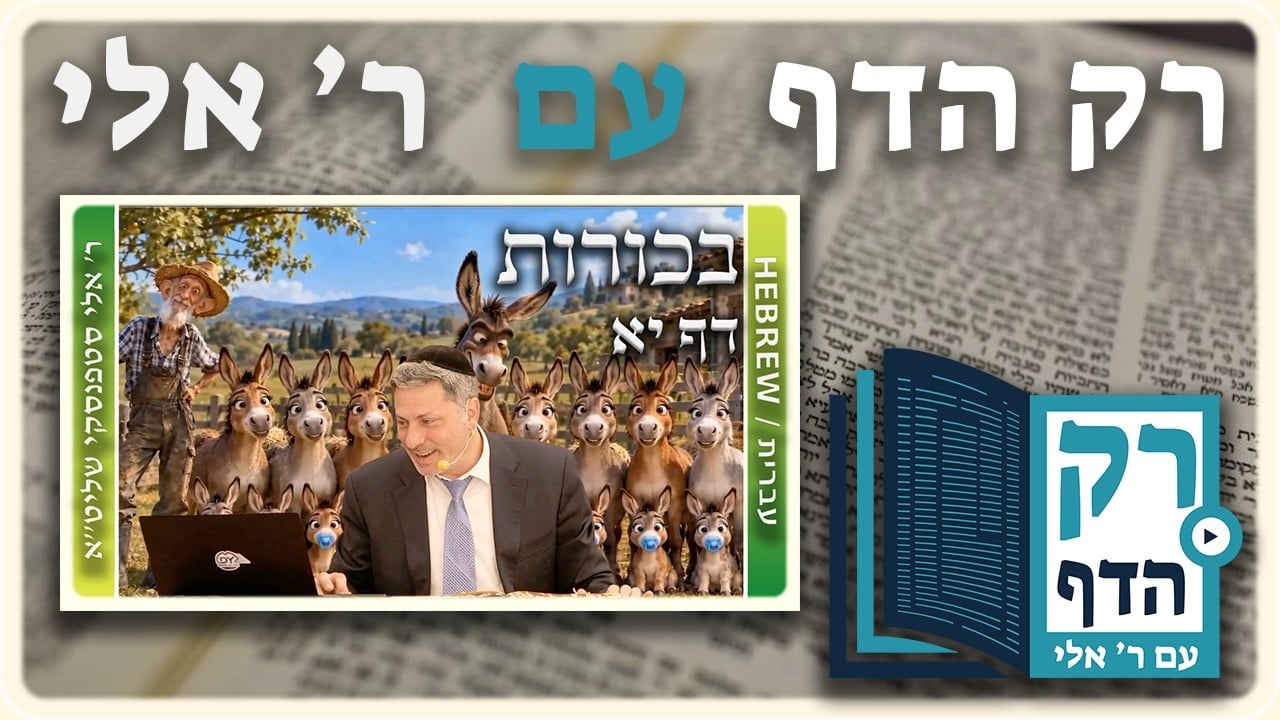 חזרה - בכורות דף יא | "רק הדף" עם ר' אלי סטפנסקי