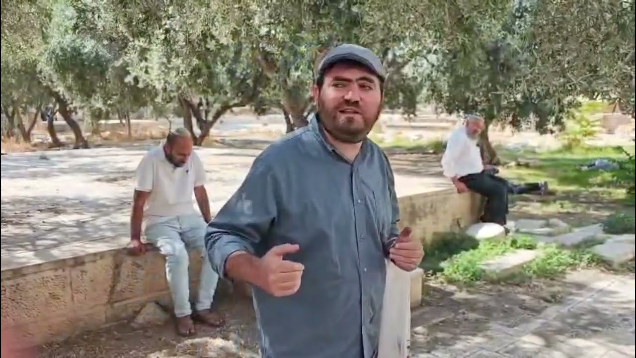 מה עניין מצוות נטילת לולב בשבת במקדש למצוות העלייה להר הבית בימינו? | הרב אלידע כוכב