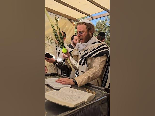 Sukkot is here❤️‍🔥🤠