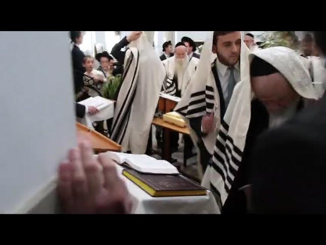 מרן הגרמ"ה הירש בחביטת ההושענא. סוכות תשפ"ה