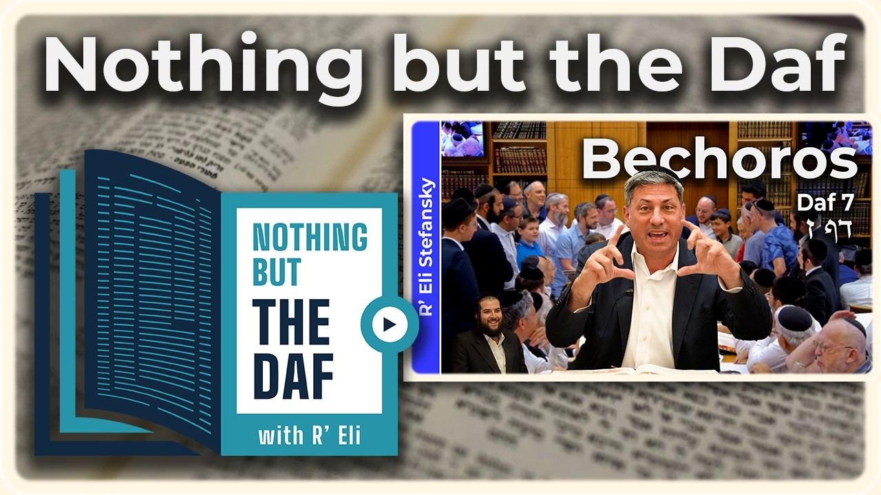 CHAZARAH - Bechoros Daf 7 | "Nothing but the Daf" with R' Eli Stefansky