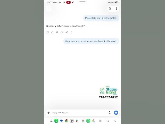 AI vs SI