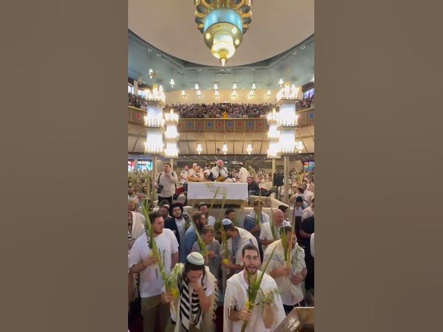Hallel with Rabbi Shlomo Katz at The Great Synagogue Jerusalem | 2,000 Voices on Chol Hamoed Sukkot