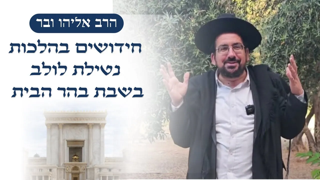 חידושים בהלכות נטילת לולב בשבת בהר הבית | הרב אליהו ובר