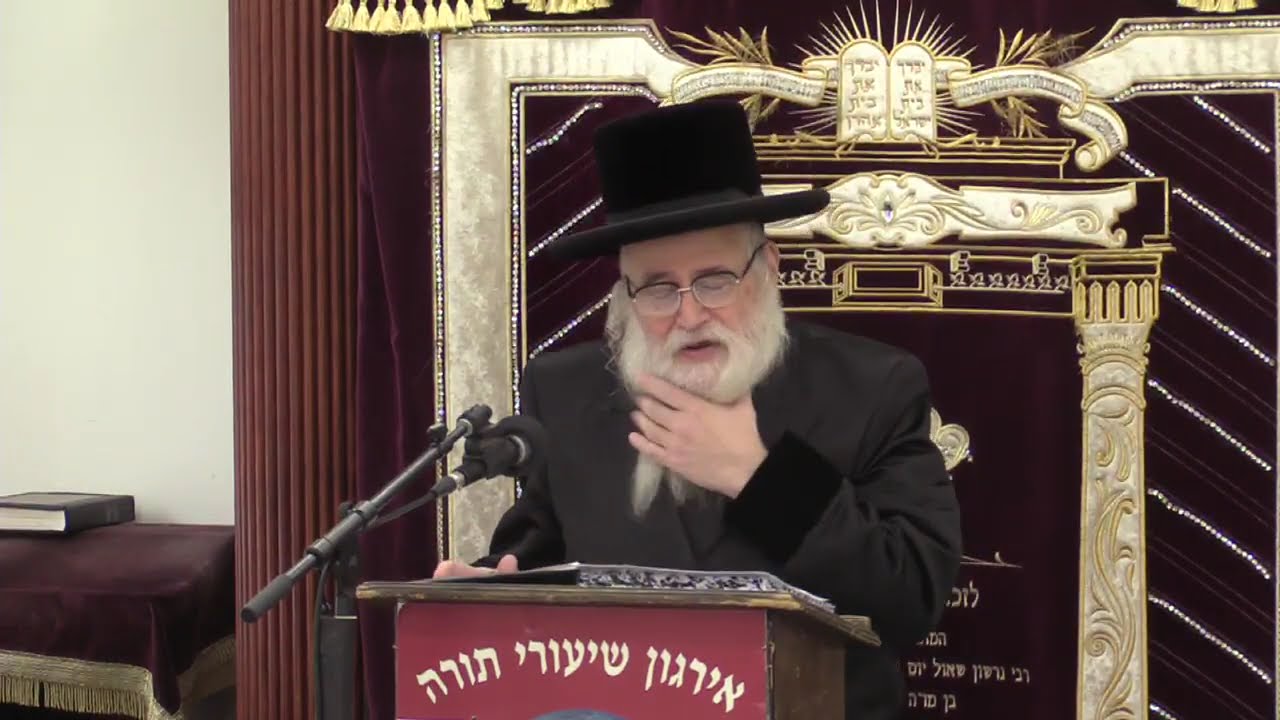 נבל שלא ברשות התורה - חששות בהלכה בהגשמות שנתחדשו בזמננו - ר' יצחק שטיין שליט"א