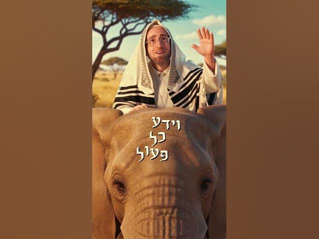 וידע כל פעול • אהרלע סאמעט