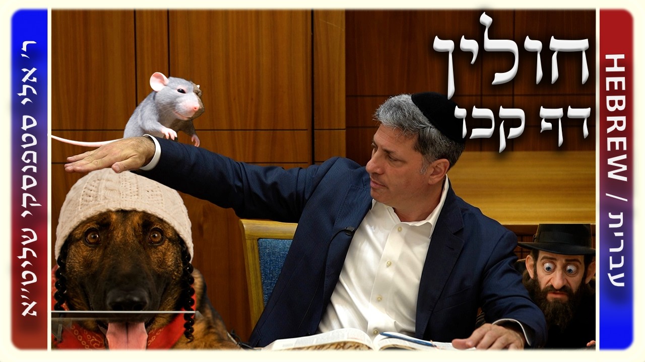 מרכז דף יומי - חולין דף קכו. - ר' אלי סטפנסקי שליט"א