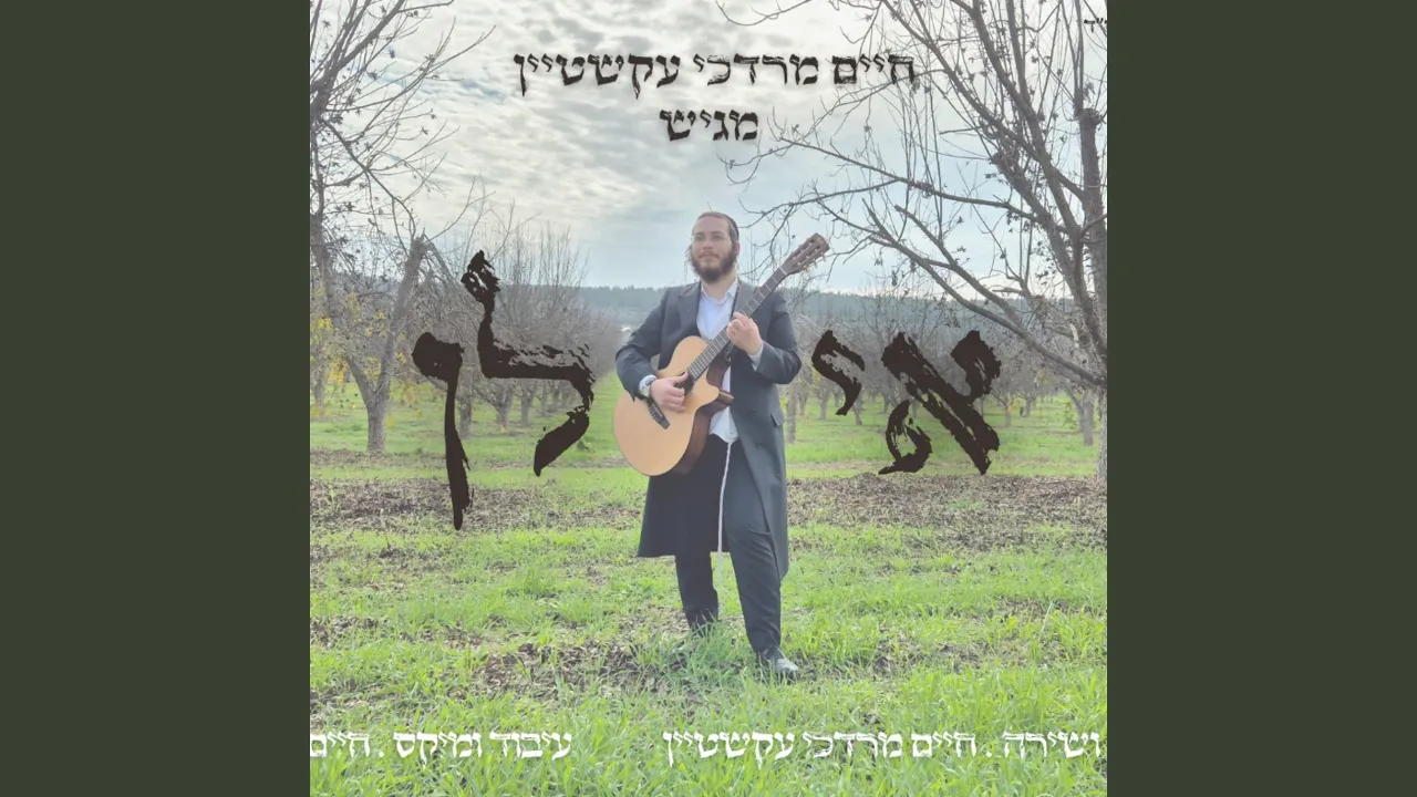 אילן