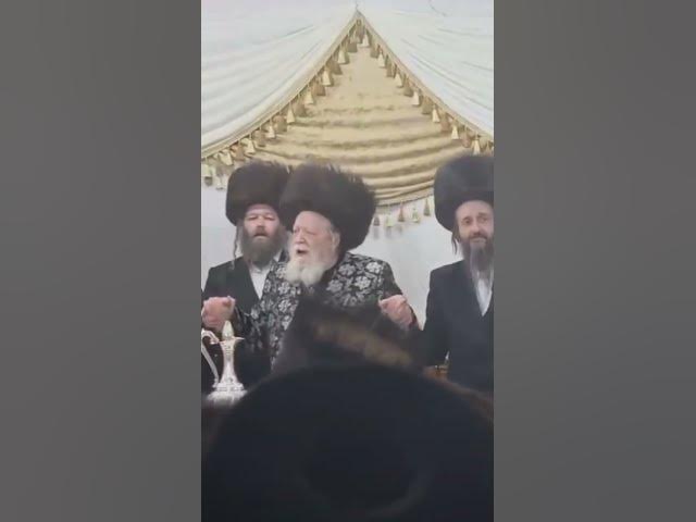 דובי מייזעלס