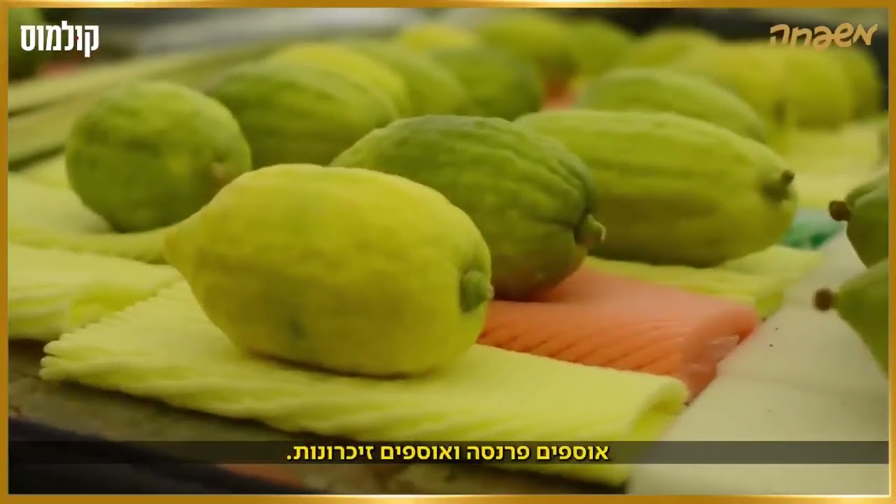 🍂📖 הגיע זמן האסיף! מוסף ״קולמוס״ מרתק במיוחד