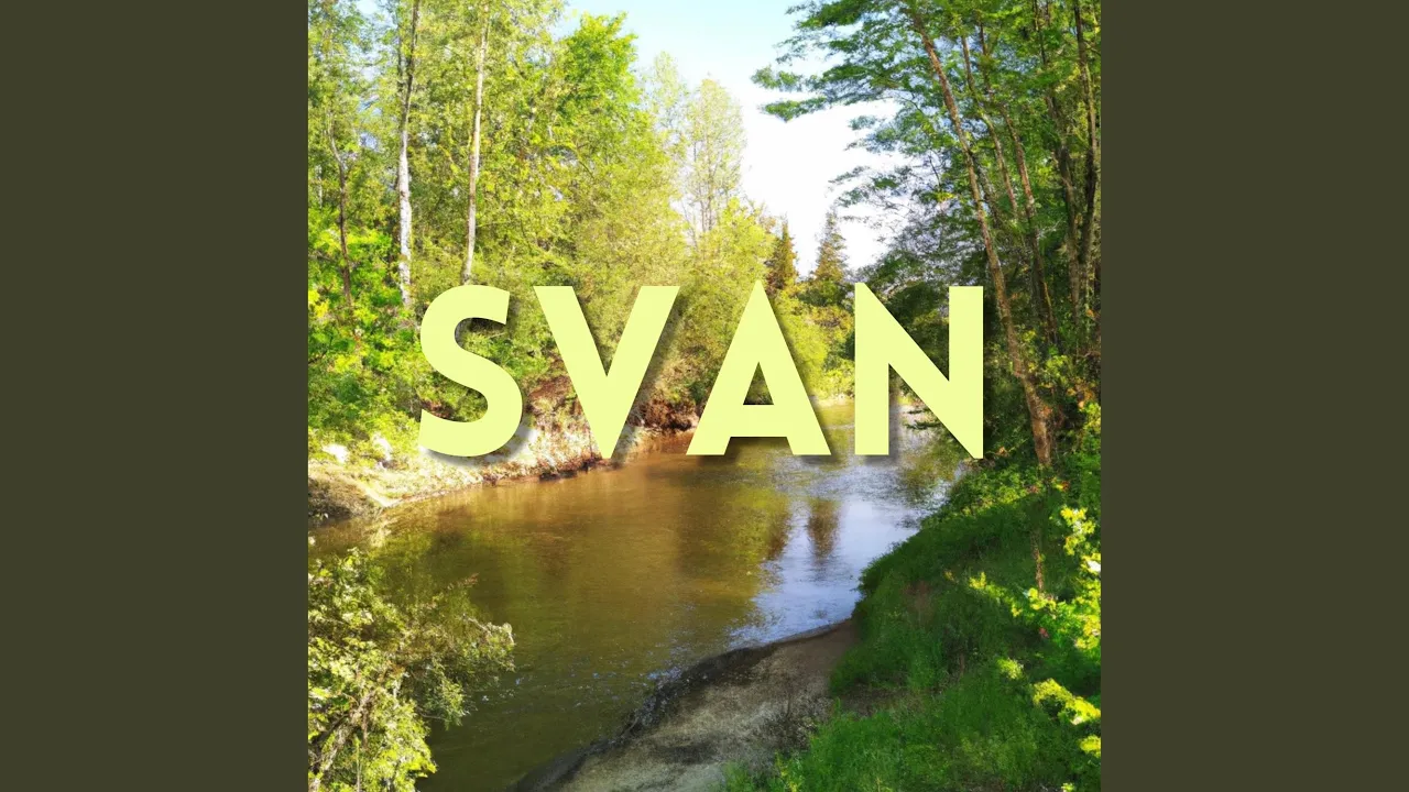SVAN (feat. Nissim Black)
