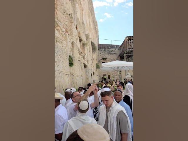 Tens of thousands at the Western Wall Saying Hallel Monday Chol Hamoed Sukkot 2026