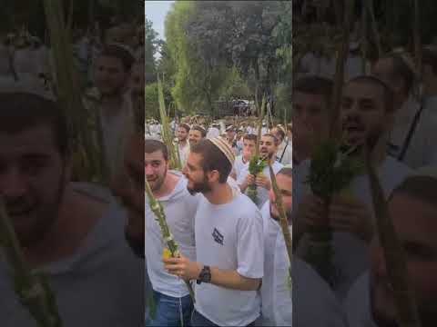Hallel in Jerusalem