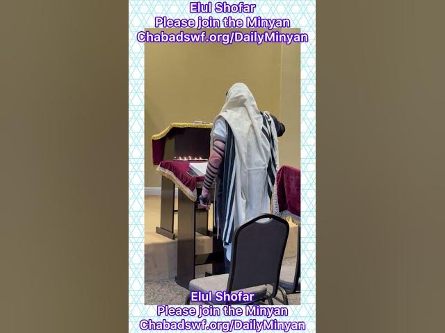 Elul Shofar Please join the Minyan Chabadswf.org/DailyMinyan