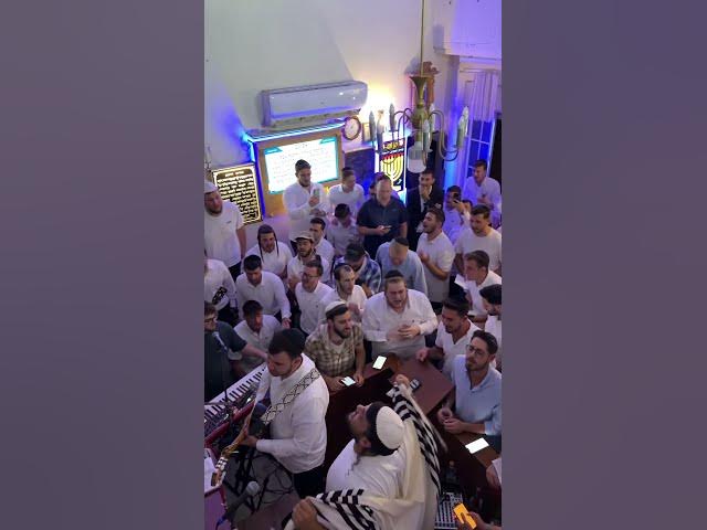 סליחות ראשונות בנחלאות תודה על הזכות🙌🤍 #music#סליחות #foryou #livemusic