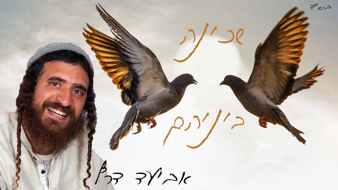 שכינה בניהם- אביעד דרף AVIAD DARF